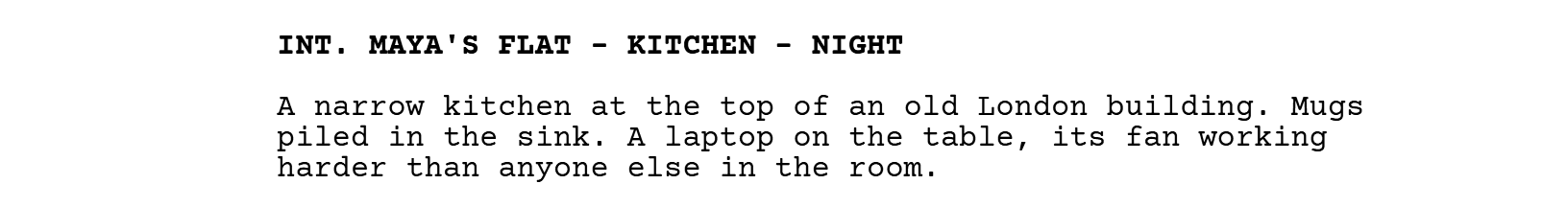 INT. MAYA'S FLAT - KITCHEN - NIGHT, followed by a paragraph of action.